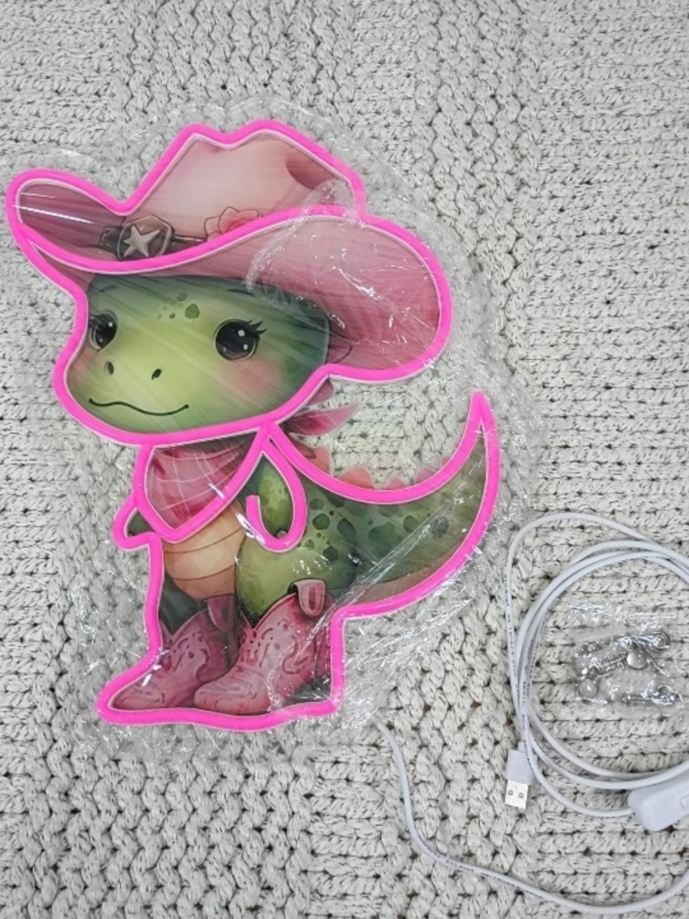 NWOT Neon Pink-Trim Cowgirl Dino LED Wall Light